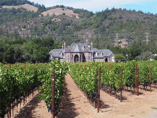 Ledson Winery - sehr schönes Weingut!