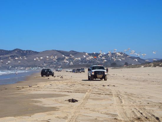 mit dem Geländewagen gehts direkt am Strand...