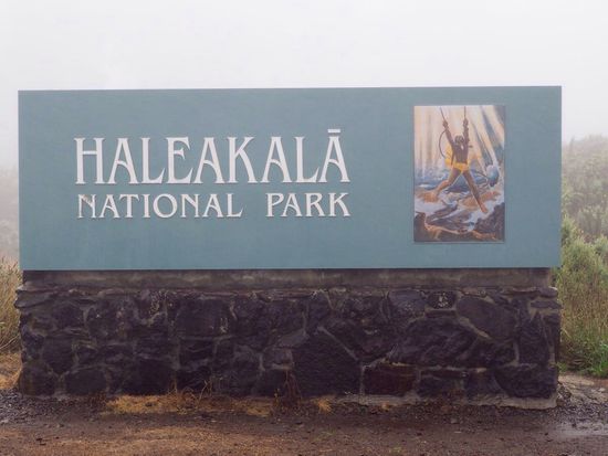 Leider das einzige Foto - dahinter ist der Nebel gut zu erkennen...