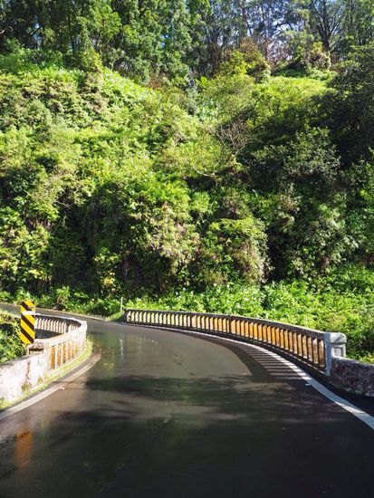 54 dieser einspurige Brücken überwinden wir bis Hana...