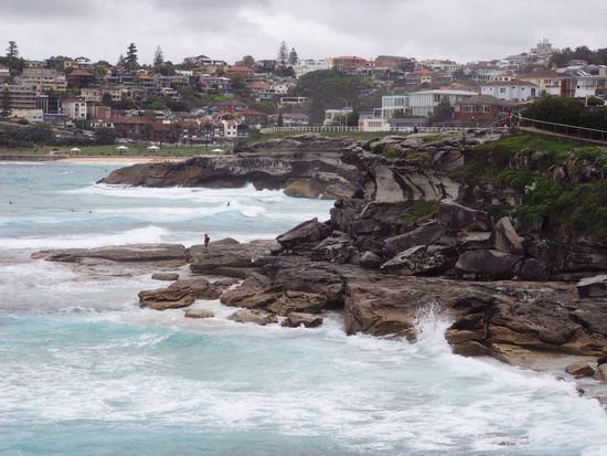 Bondi to Coogee Walk