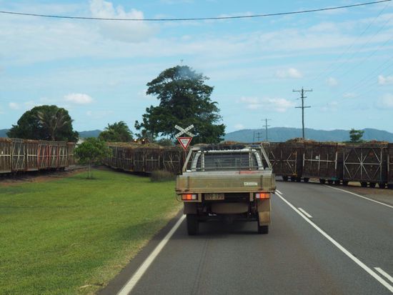 vollbeladene Sugar Cain Trains
