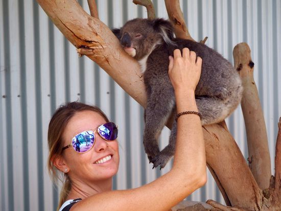 sooo müder Koala