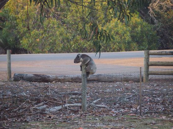 gleich ist es geschafft...