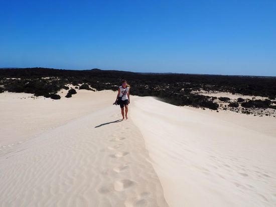 Kampf gegen den Wind 
