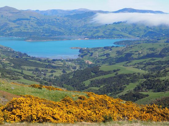 Die Farben der Natur beeindrucken uns... das satte Grün und alles blüht!
