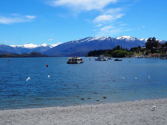 Ufer von Wanaka