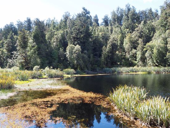 Rundweg um den schönen See...