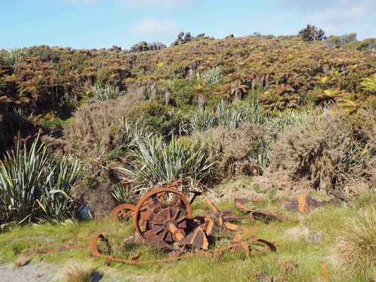Schürfmaschine mitten im Busch