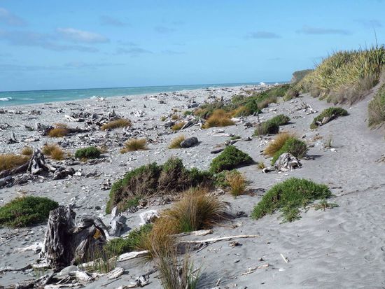 naturbelassener wilder Strand