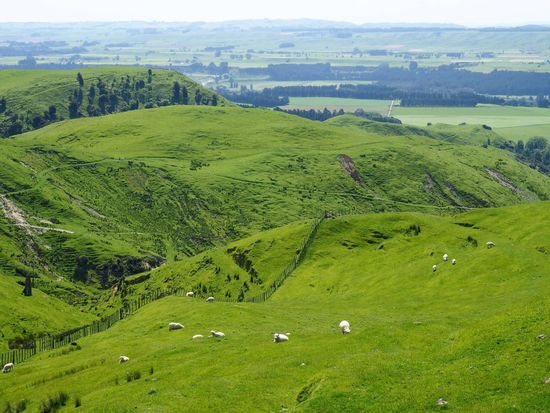 unglaublich grüne Weiden und weit und breit nur Landschaft...