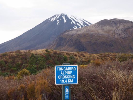 von nun an gehts bergauf - mit Sicht auf Mt. Ngauruhoe
