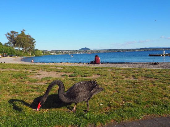 gleich dahinter steht unser Camper - großartig!