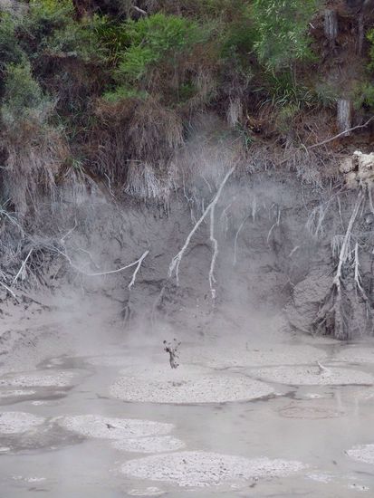 blubbernder Schlammteich