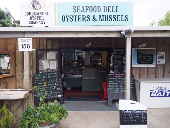 Bei der "Oyster Company" gibt's die besten frischen Austern... lecker!