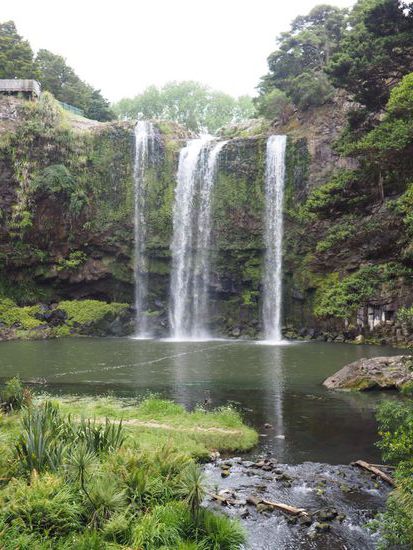 Whangarei Waterfalls