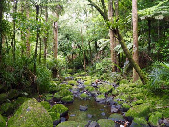 wunderbare Landschaft entlang des Rivers