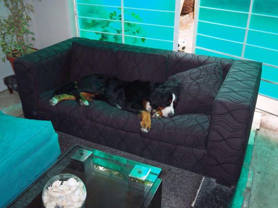 ...bei der Wache eingeschlafen 