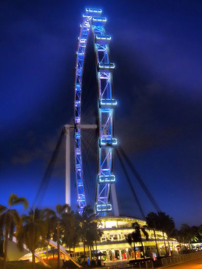 Singapore Flyer by night
