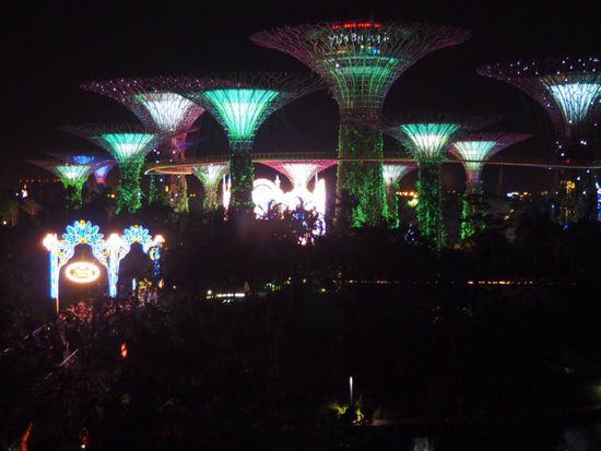Garden by the Bay in Weihnachtsstimmung