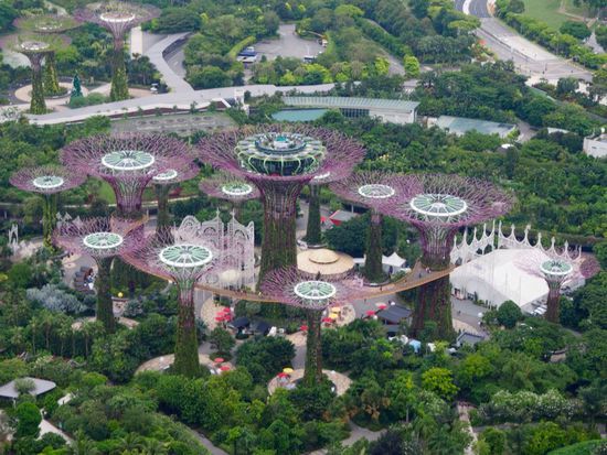Supertree Grove in Gardens by the Bay