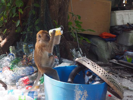 ...mal sehen, ob da noch was zu holen ist 