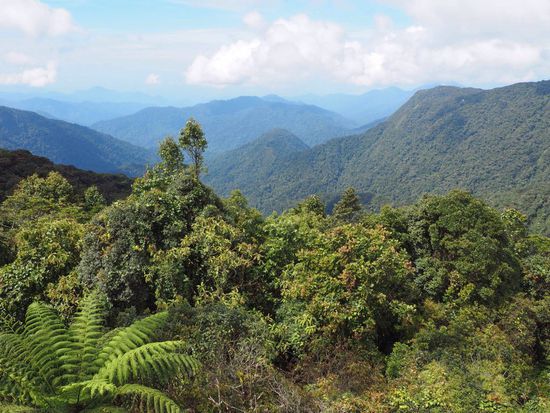 Blick vom Gunung Brinchang auf die unvergleichliche Landschaft der Camaron Highlands