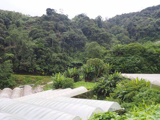 Erdbeer- und Gemüseplantagen