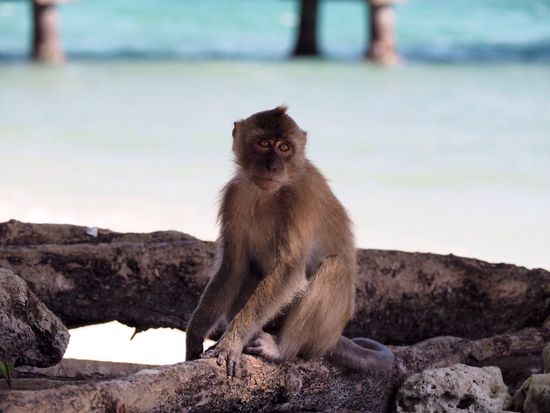 Wenn der nicht süß ist?