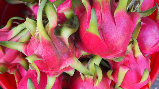 Dragonfruit