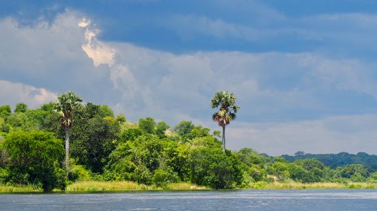 Beautiful landscape am Nil