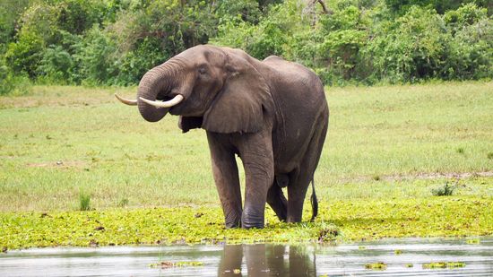 Jetzt wird mal der Durst gelöscht und dann...