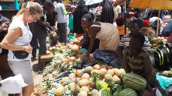 Traumhafte Früchte, soweit das Auge reicht... die süßesten Ananas.