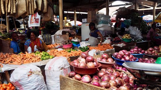 Gemüse super frisch und alles ganzjährig verfügbar!
