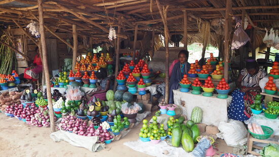 ...frischer gehts nicht - als Maßeinheit dienen Schalen, nicht das Gewicht