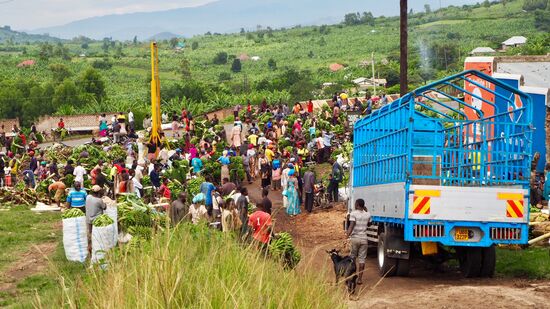 Bananenmarkt... Erlöse sind für das Aufbringen des Schulgelds wichtig.