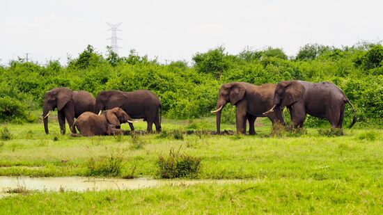 ...sie kommen immer näher...