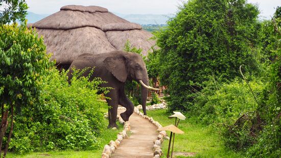 Dahinter unser Bungalow...