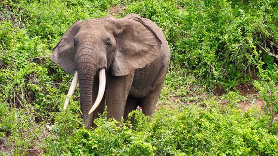 Wow - so nah... aber nicht ungefährlich 
!