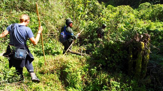 Christine führt uns in den Forrest