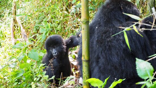 der kleinste der Gruppe... so süß