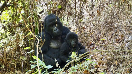 Mama mit Baby... sie ist sooo fürsorglich