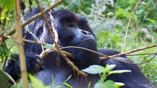 Marc hat immer ein Auge auf die Gruppe