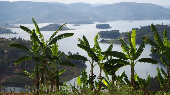 Traumhafter Blick auf den See