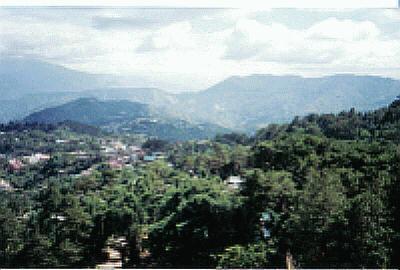 Blick ins Tal von "Benguet"