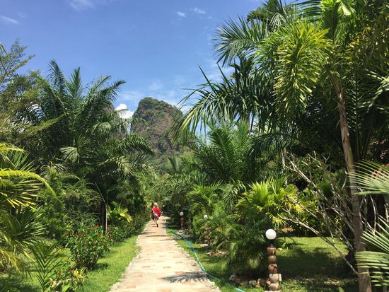 Der Weg zum Family-Bungalow ...