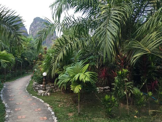 Wunderschöne Anlage