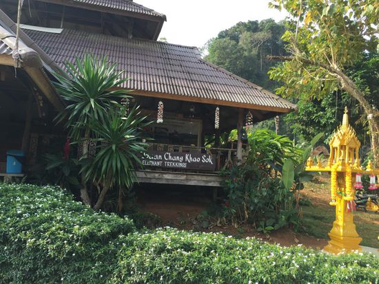 Angekommen am Elefanten-Camp ...