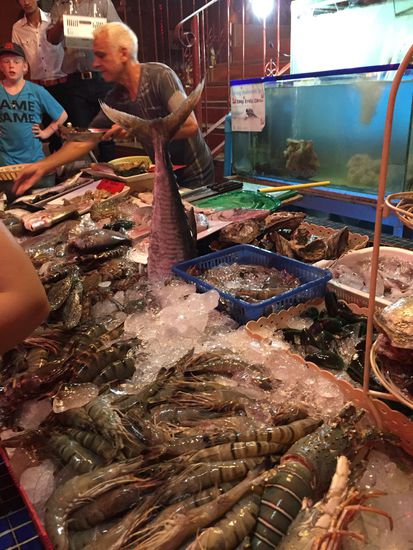 Hummer, Tiger Prawns, Kalamari, Squid, Barracuda, Red und White Snapper, Thunfisch, Crabbs und sogar Hai war im Angebot.