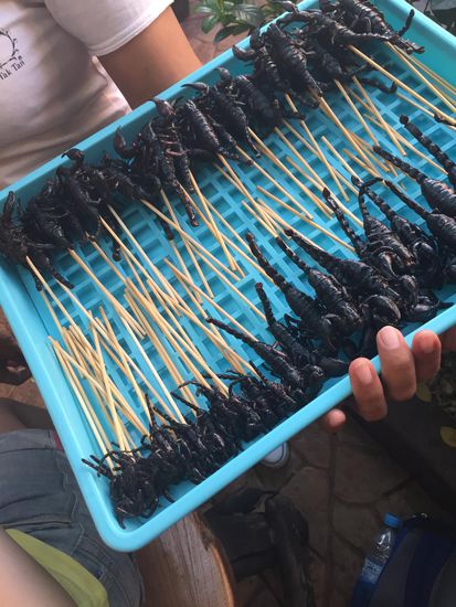 Als uns diese possierlichen Tierchen angeboten 
wurden, waren wir leider schon satt ...